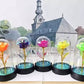 Base en bois de la Rose Éternelle LED sous Cloche